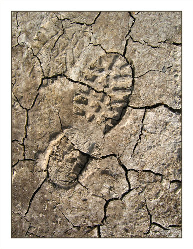 BLOG-IMG_3289-premier pas sur plaines du Teich