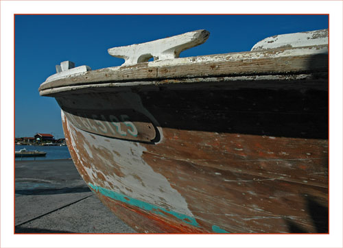 BLOG-DSC_0712-Papillon et port Larros