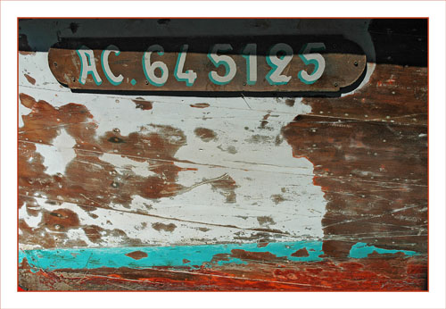 BLOG-DSC_0717-coque Papillon