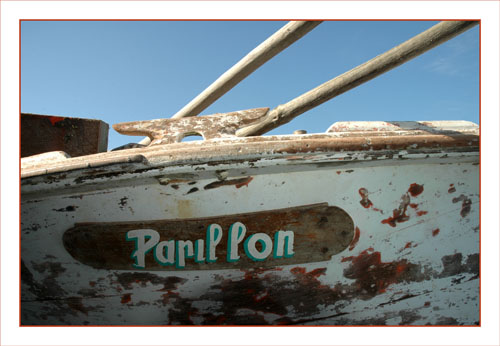 BLOG-DSC_0719-plaque Papillon