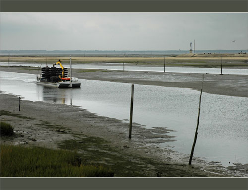 BLOG-DSC_0722-retour plate port Gujan, face à croix Larros
