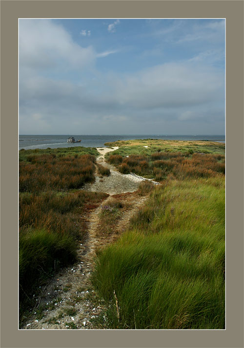 BLOG-DSC_0742-sentier port de Meyran