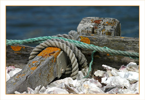 BLOG-DSC_0841-cordages et huîtres quai Larros