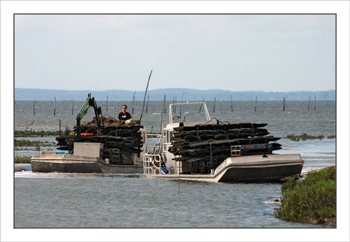 BLOG-DSC_0880-retour parcs à huîtres