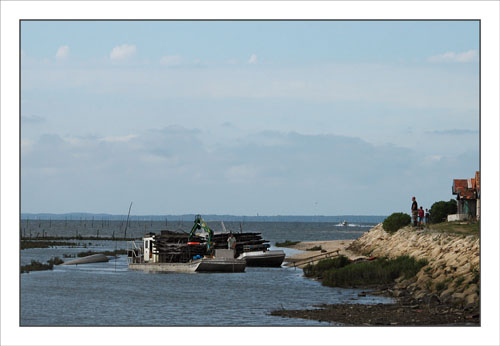 BLOG-DSC_0882-retour parcs à huîtres