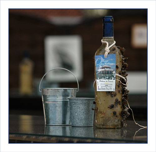 BLOG-DSC_1012-blanc des cabanes port la Teste