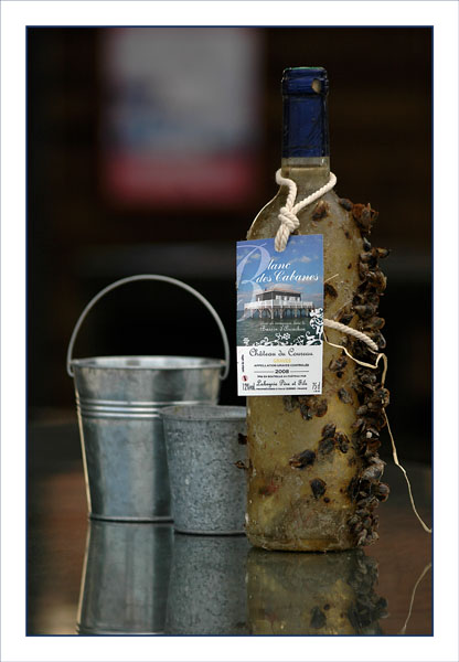 BLOG-DSC_1014-blanc des cabanes port la Teste