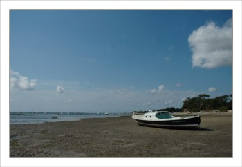 BLOG-DSC_1059-Amphitrite plage Taussat