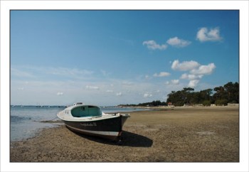 BLOG-DSC_1067-Amphitrite II plage Taussat