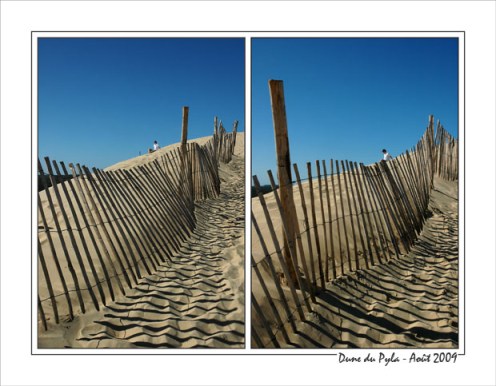 BLOG-DSC_1124-1125-crête dune Pyla et forêt