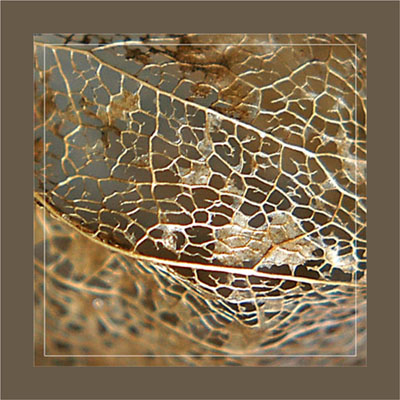 BLOG-DSC_1155-amour en cage dorée