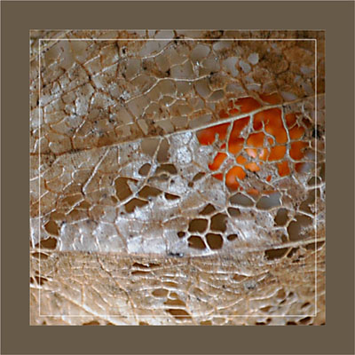 BLOG-DSC_1159-amour en cage dorée