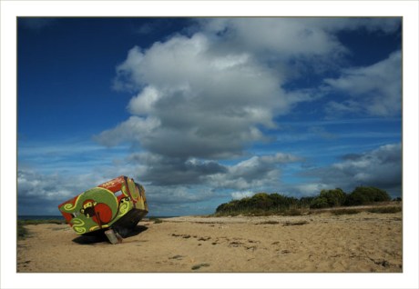 BLOG-DSC_1324-singe plage la Teste