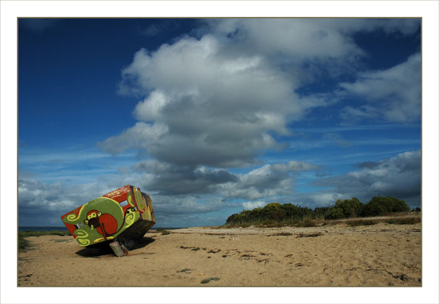 BLOG-DSC_1324-singe plage la Teste