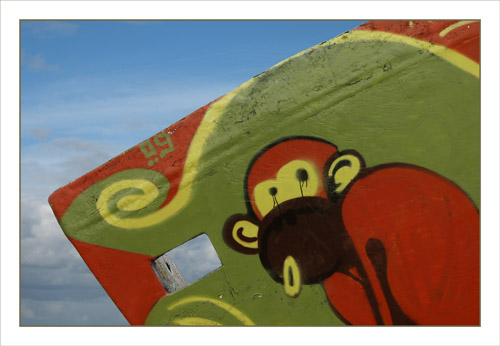 BLOG-DSC_1328-singe triste épave laTeste