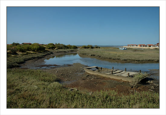 BLOG-DSC_1344-sentier entre ports Larros et Gujan BLOG-DSC_1344-sentier entre ports Larros et Gujan