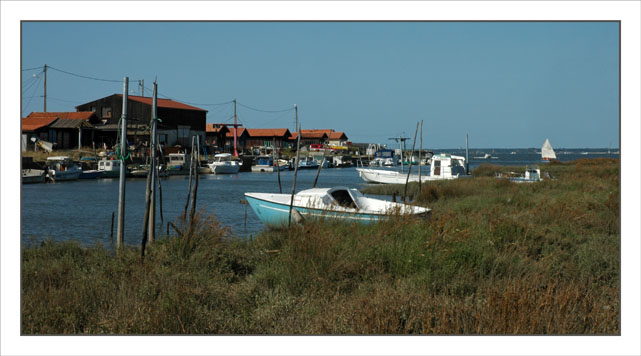 BLOG-DSC_1358-port Gujan depuis sentier BLOG-DSC_1358-port Gujan depuis sentier