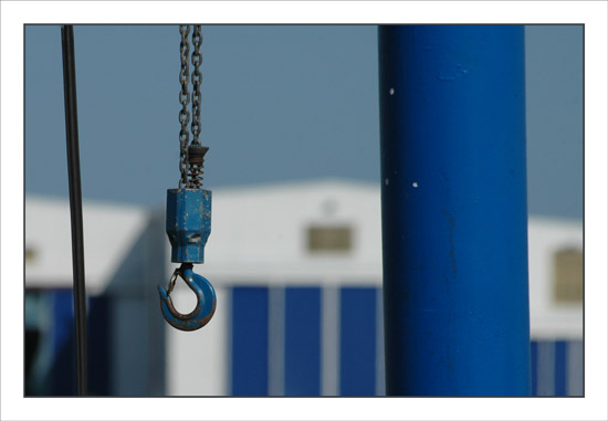 BLOG-DSC_1374-rec-grue Gujan et Couach Larros