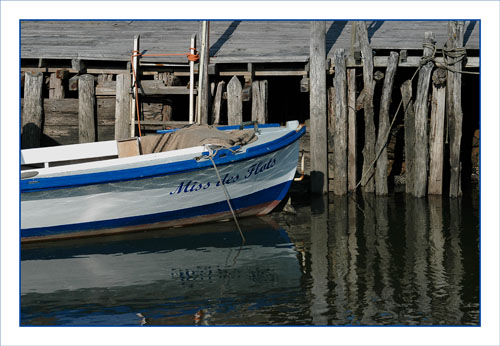 BLOG-DSC_1445-Miss des flots le Canal