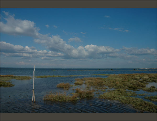 BLOG-DSC_1677-piquet Meyran, Bassin face Gujan et Larross