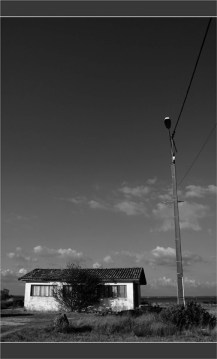 voir les autres photos