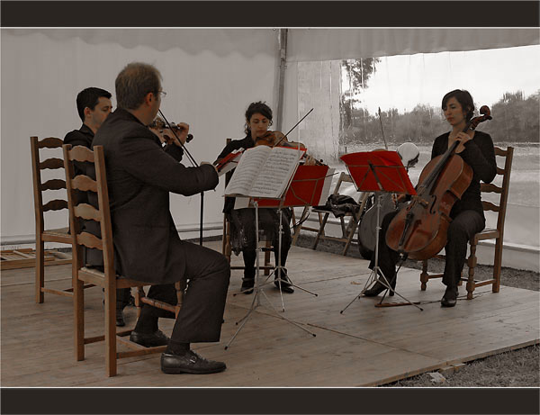 BLOG-DSC_1789-quartet Mascaret château Ruat le Teich rouge & sépia