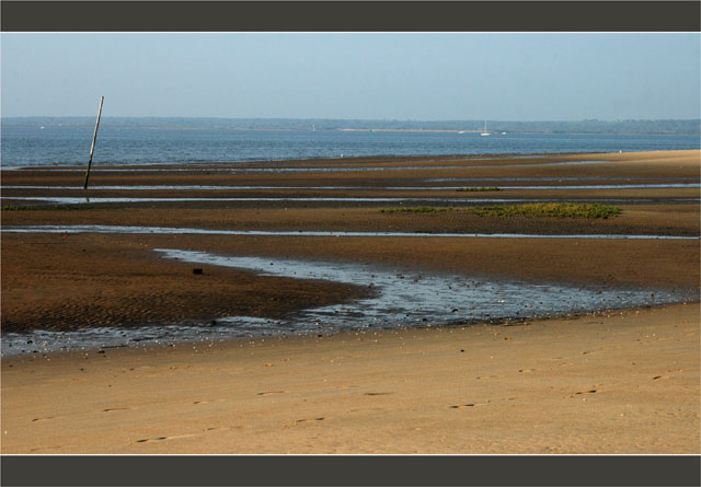 BLOG-DSC_1901-plage du Teich marée montante soir face Audenge
