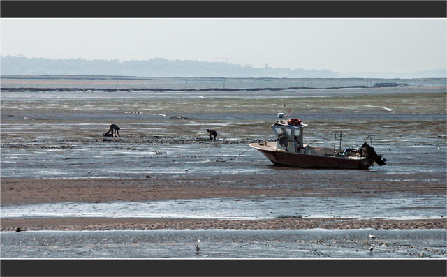 BLOG-DSC_1926-bateau ramasseurs coquillage face Arcachon BLOG-DSC_1926-bateau ramasseurs coquillage face Arcachon