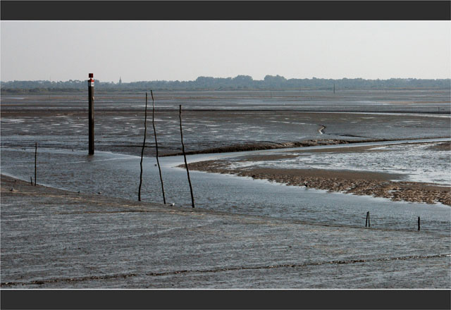 BLOG-DSC_1932-estey Audenge et église du Teich BLOG-DSC_1932-estey Audenge et église du Teich
