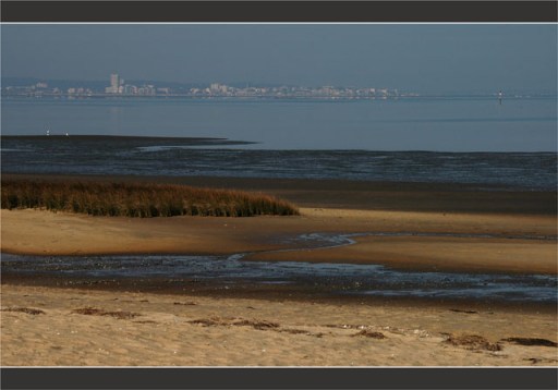 BLOG-DSC_2033-rivage le Teich et Arcachon