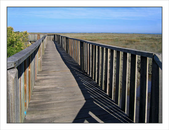 BLOG-IMG_1416-passerelle sentier Gujan Meyran