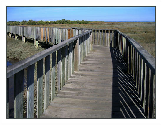 BLOG-IMG_1417-passerelle sentier Gujan Meyran