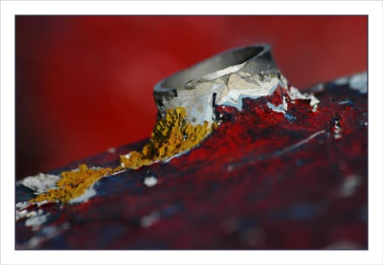 BLOG-DSC_2169-détail coque