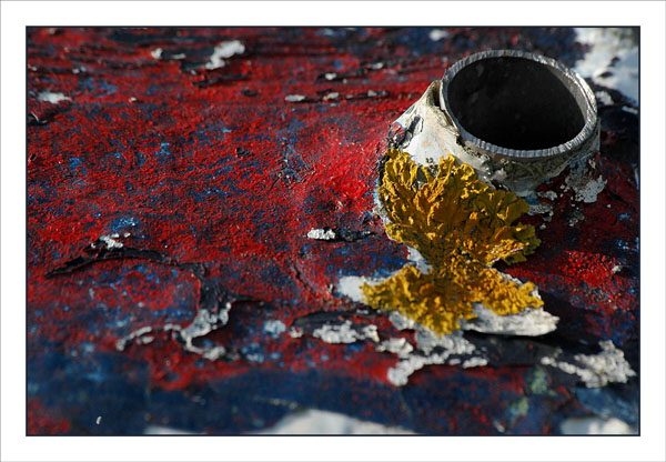 BLOG-DSC_2175-détail coque