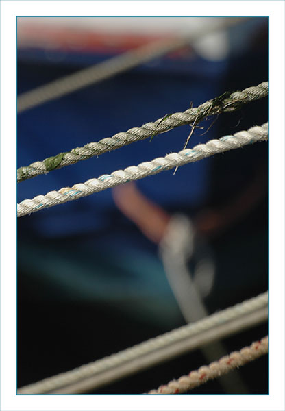 BLOG-DSC_2260-cordes et coque bleue