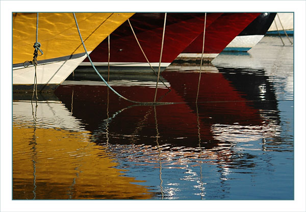 BLOG-DSC_2266-coques couleurs port la Teste