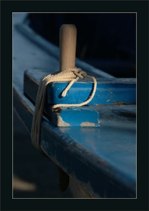 BLOG-DSC_2288-cabillot pinassotte la Testerine BLOG-DSC_2288-cabillot pinassotte la Testerine