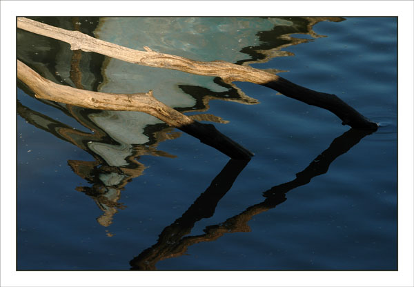 BLOG-DSC_2289-piquets bois et reflet proue pinasse