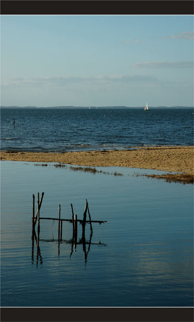 BLOG-DSC_2320-piquets plage le Teich