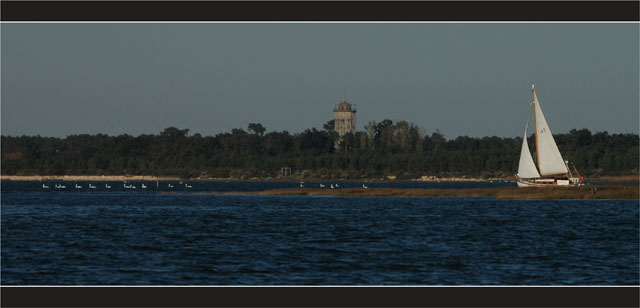 BLOG-DSC_2362-Susanna embouchure Leyre et cygnes Audenge