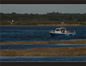 BLOG-DSC_2372-bateau moteur embouchure Leyre