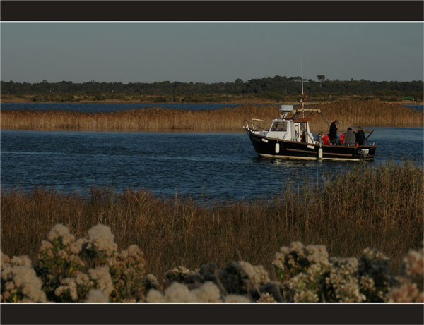 BLOG-DSC_2376-pêche et farniente le Pageau embouchure Leyre