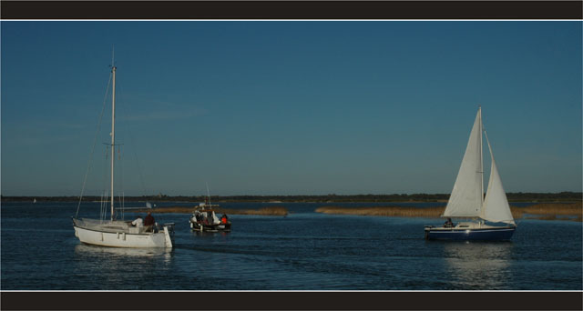 BLOG-DSC_2385-croisement embouchure Leyre 3