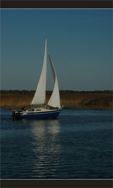 BLOG-DSC_2386-voilier sur la Leyre, vers port du Teich