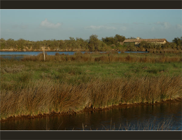 BLOG-DSC_2416-maisonnette parc