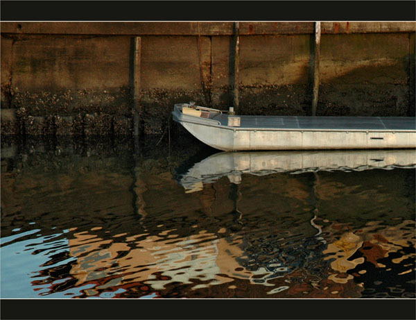 BLOG-DSC_2507-plate alu et reflets roux