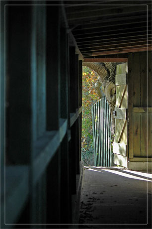 BLOG-DSC_5816-poste d'observation