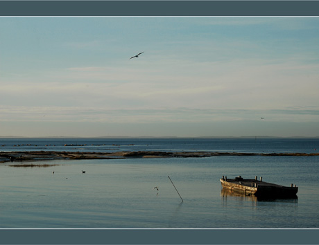 BLOG-DSC_5852-plate Barbotière et mouettes BLOG-DSC_5852-plate Barbotière et mouettes
