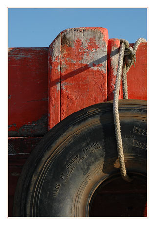 BLOG-DSC_7812-détail coque et pneu Shadok