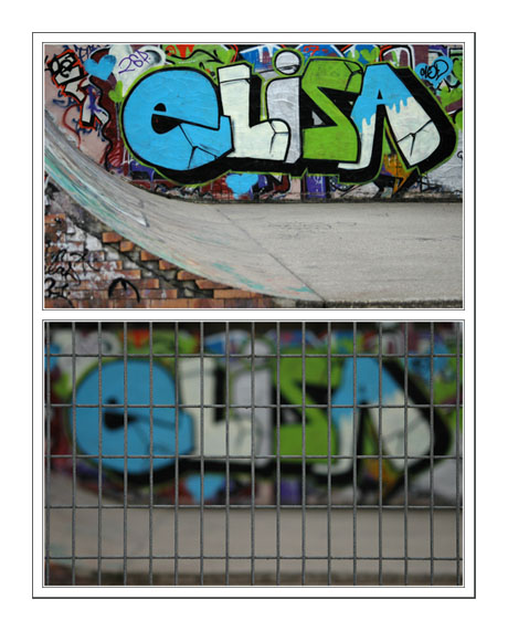 BLOG-DSC_7904-Elisa et grillage BLOG-DSC_7904-Elisa et grillage